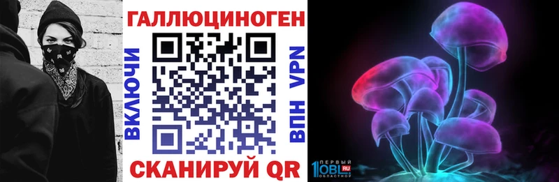 Псилоцибиновые грибы Psilocybine cubensis  Юхнов 